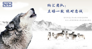 猪猪视频APP下载链接的团队精神